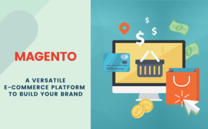 Bulid Online Store with Latest Magento