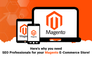 Magneto E-Commerce