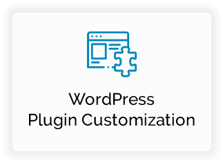 WordPress Plugin Customization