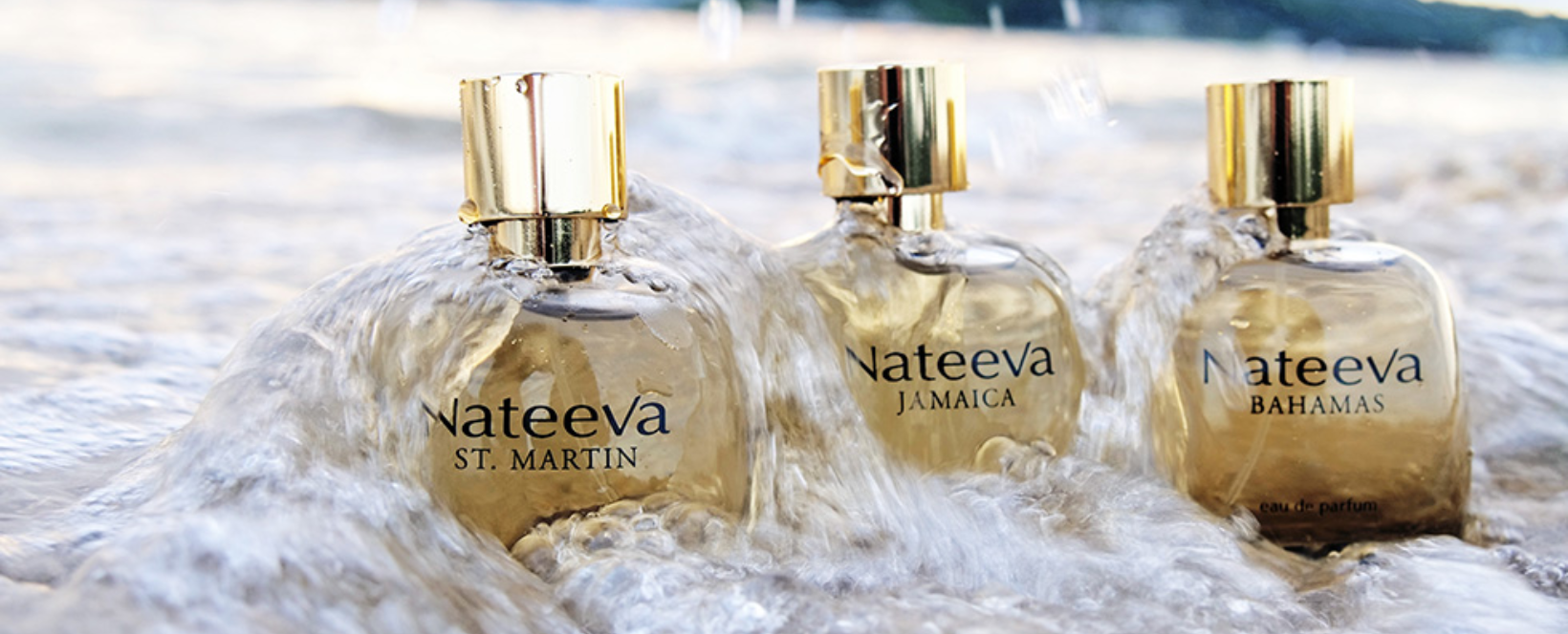 Nateeva — Case Study by Raulji Technologies