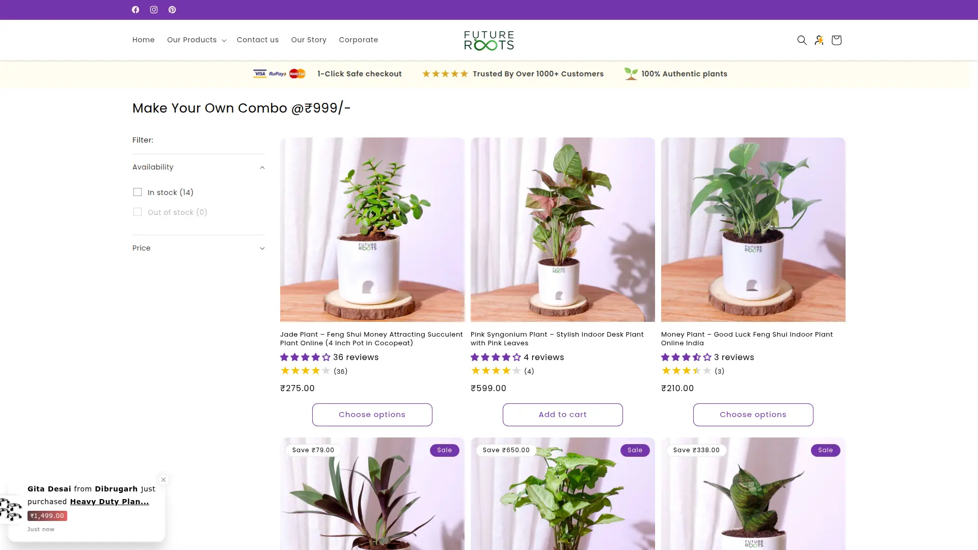 FutureRoots combo offer banner with 4 plants at ₹999