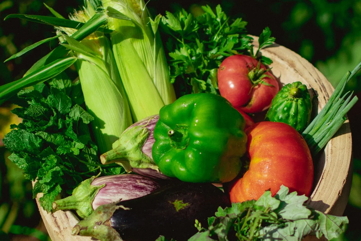 Farm-fresh organic vegetables