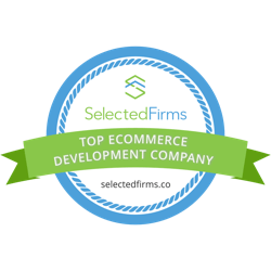 SelectedFirms | Raulji Technologies